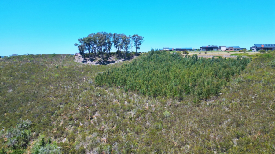 0 Bedroom Property for Sale in Narnia Western Cape